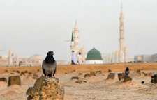 چه کسانی در قبرستان بقیع دفن شده اند