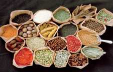 ویژگی و خصوصیات مزاج های گرم و خشک