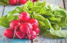 با خواص تربچه آشنا شوید