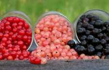 آشنایی با انگور فرنگی یا خارتوت و خواص آن