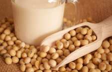 آیا سویا برای بدنسازان مفید است یا خیر