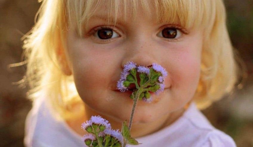 اهمیت حس بویایی کودکان