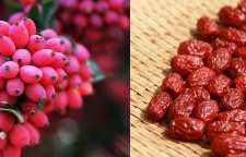 خواص بی نظیر دمنوش عناب و زرشک