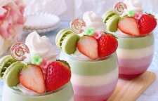 طرز تهیه دسر پاناکوتای رنگین