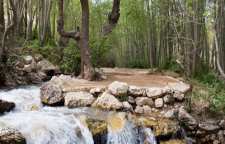 جاذبه های گردشگری شهرکرد ملقب به سوئیس ایران