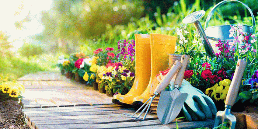 اصول باغبانی در فصل تابستان