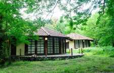 پارک جنگلی چالدره در تنکابن استان مازندران