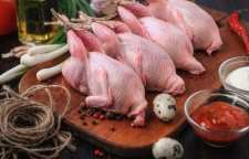 چندین خواص گوشت بلدرچین