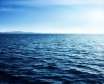 آیا اقیانوس های جهان در حال تهی شدن از اکسیژن هستند
