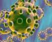 علائم ویروس کرونا چیست و چگونه درمان می شود