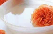 خواص دارویی عرق نسترن برای درمان انواع بیماری ها