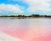 دریاچه صورتی هیلیر در نزدیکی ساحل جنوبی استرالیای غربی