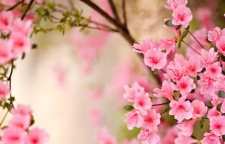 شعرهای زیبای حافظ درباره ایام نوروز