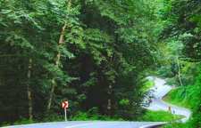 چالوس از شهرهای دیدنی و قدیمی توابع استان مازندران