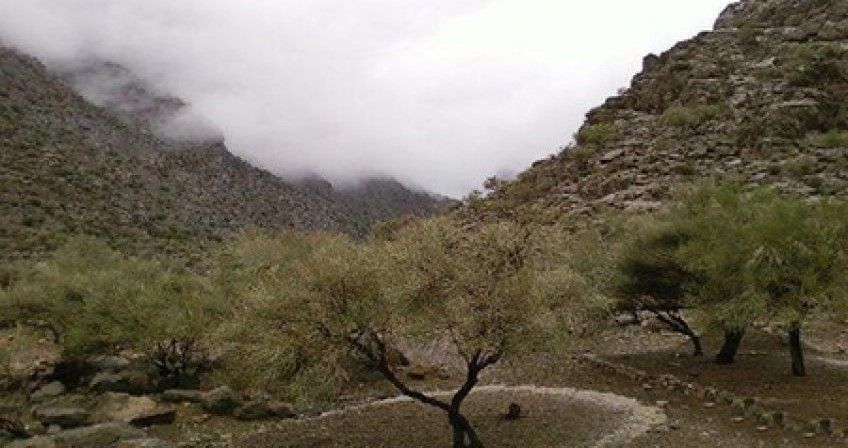پارک ملی بختگان در شیراز