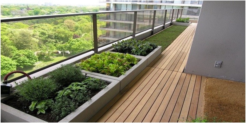 آموزش ساخت باغچه سبزیجات در خانه و آپارتمان