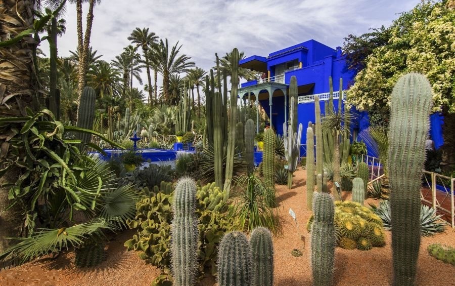 باغ ماژورل مراکش یاقوت آفریقا