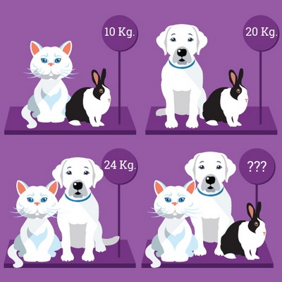 معمای محاسبه وزن حیوانات