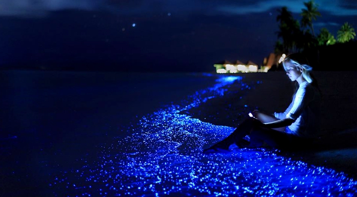 سواحل درخشان وادهو در مالدیو