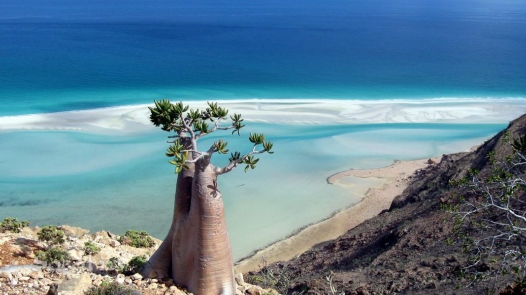 جزیره سقطری یمن جواهری در دریای عرب