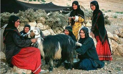 آداب و رسوم ایل قشقایی یکی از پرجمعیت ترین ایل های ایران