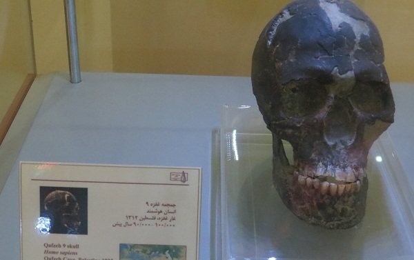 موزه پارینه سنگی زاگرس کرمانشاه  نخستین موزه ی پارینه سنگی خاورمیانه