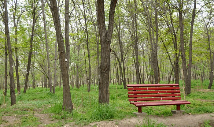پارک جنگلی طرق مشهد یکی از بزرگترین پارک‌ های جنگلی ایران