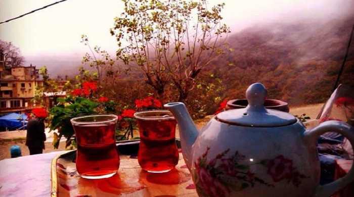صنعت چای چگونه وارد ایران شد