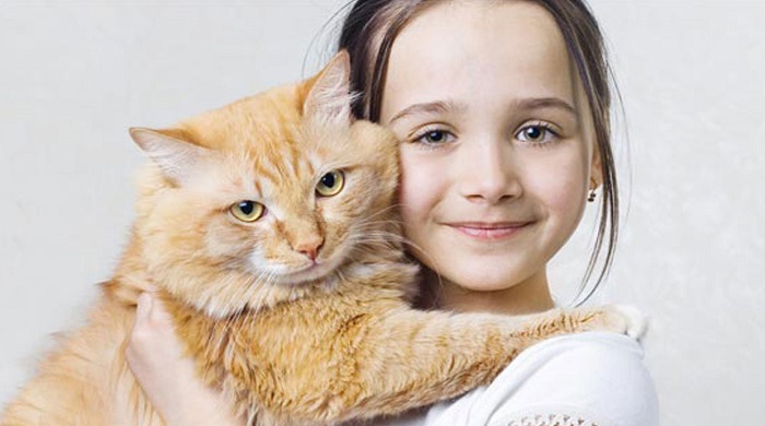 رابطه گربه با انسان و آیا گربه ها بی چشم و رو هستند