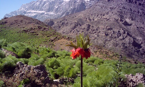 زیبایی های منطقه حفاظت شده دنا در شهرستان سی سخت استان کهگیلویه و بویر احمد