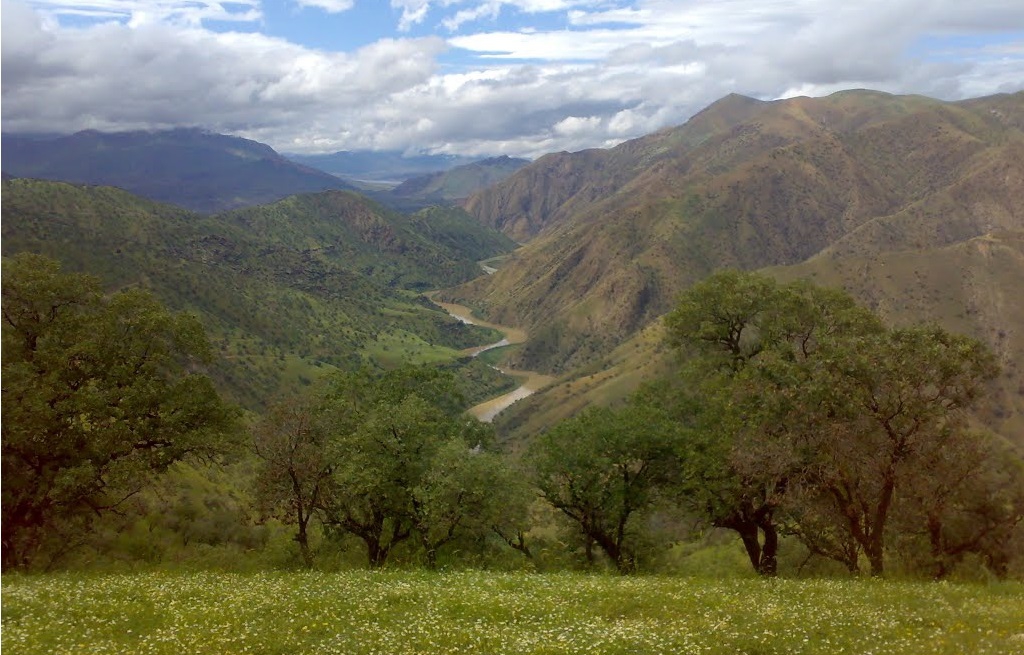 رود سیروان طولانی ترین رودخانه کردستان