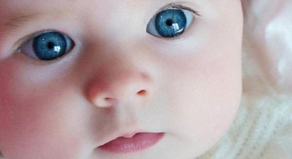 چگونه چشم جنین می تواند رنگی شود