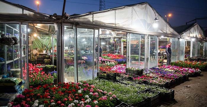 بازار گل محلاتی خوش رنگ و بوترین بازار گل تهران