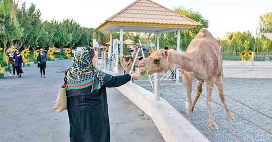 باغ وحش صفادشت در شهرستان ملارد از توابع استان البرز